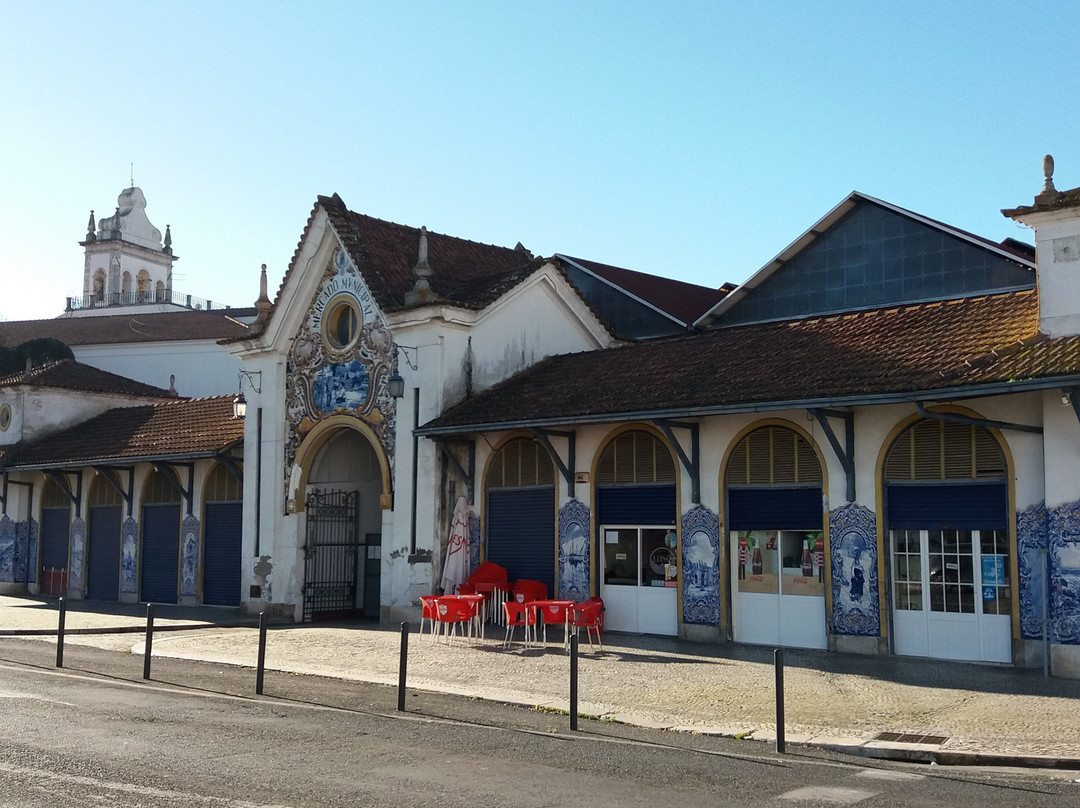 Mercado Municipal de Santarém景点图片