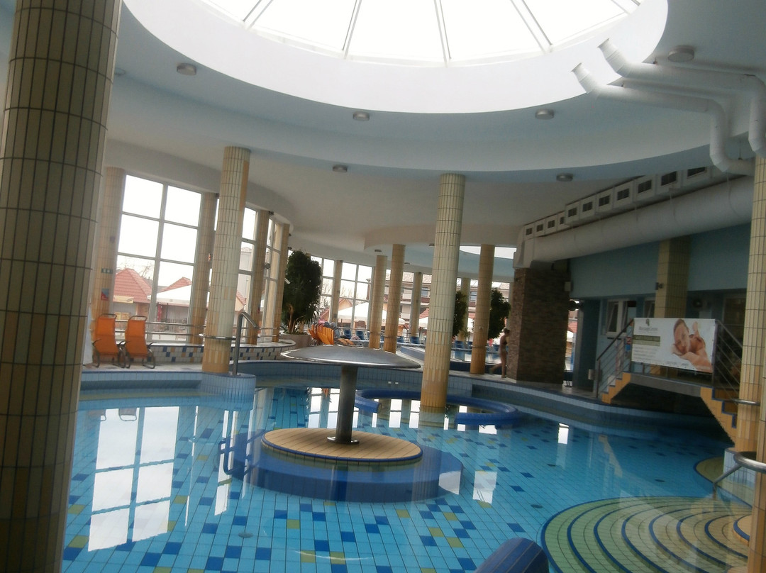 Thermalpark Dunajska Streda-Dunajska Streda必去景点