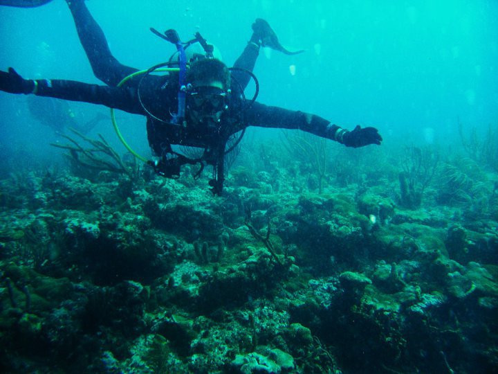 黄金海岸潜水-滨海劳德代尔必去景点