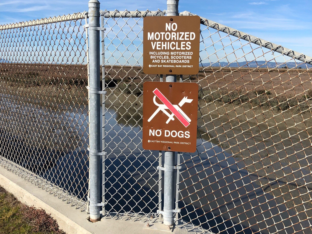 Hayward Shoreline Interpretive Center-海沃德必去景点