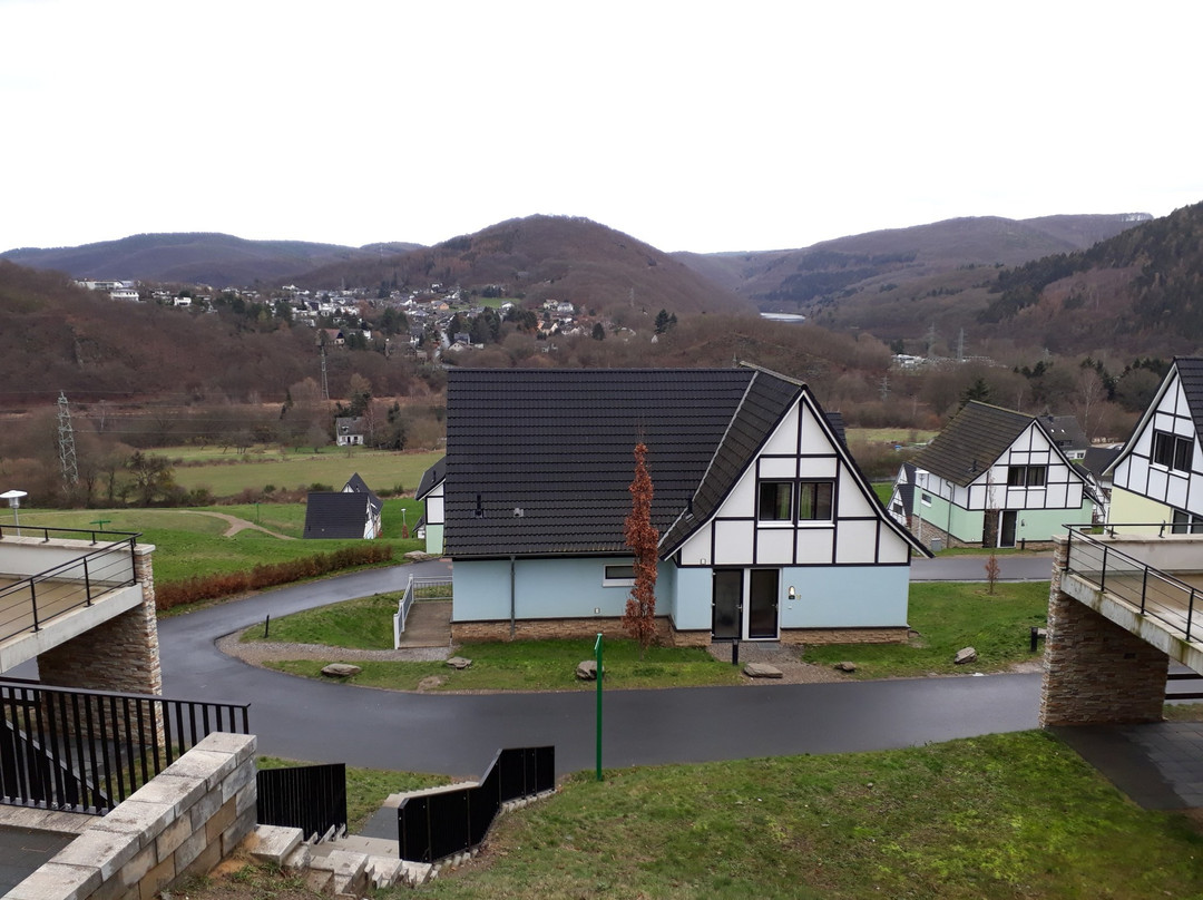 Dormio Resort Eifeler Tor主图