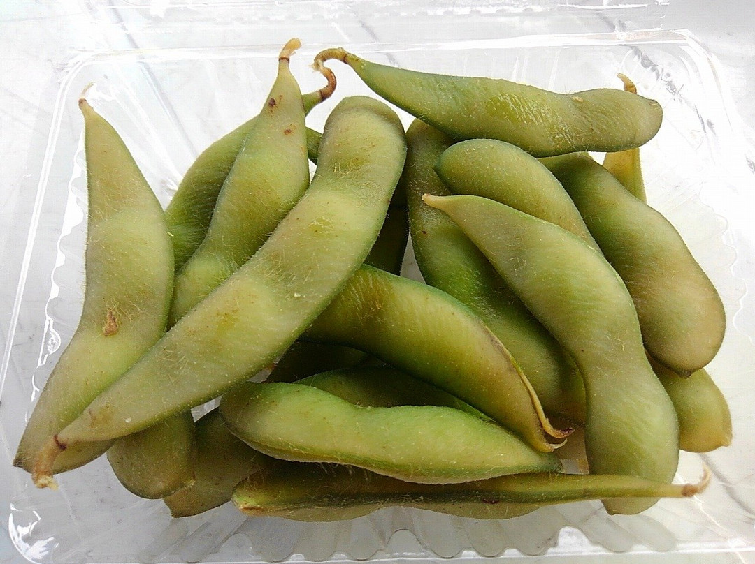 Kawamata Chuo Community Center-川俣町必去景点