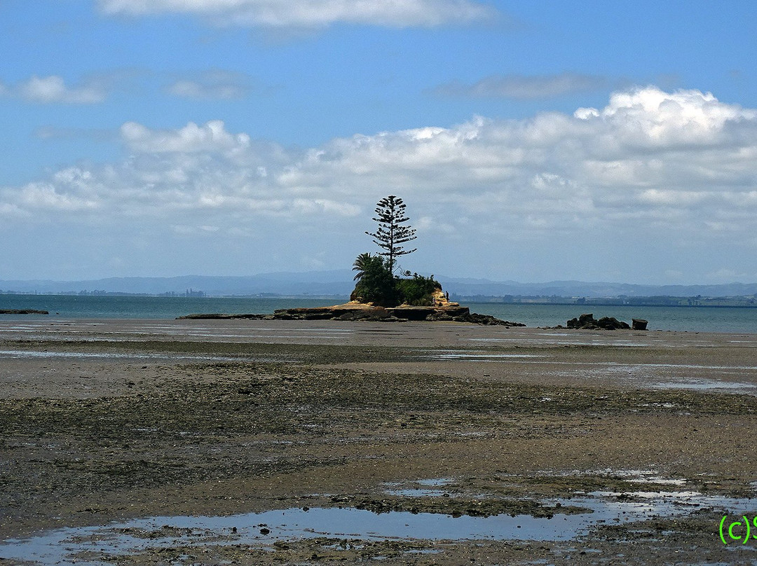Awhitu Regional Park景点图片
