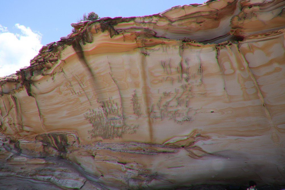 Botany Bay-悉尼必去景点