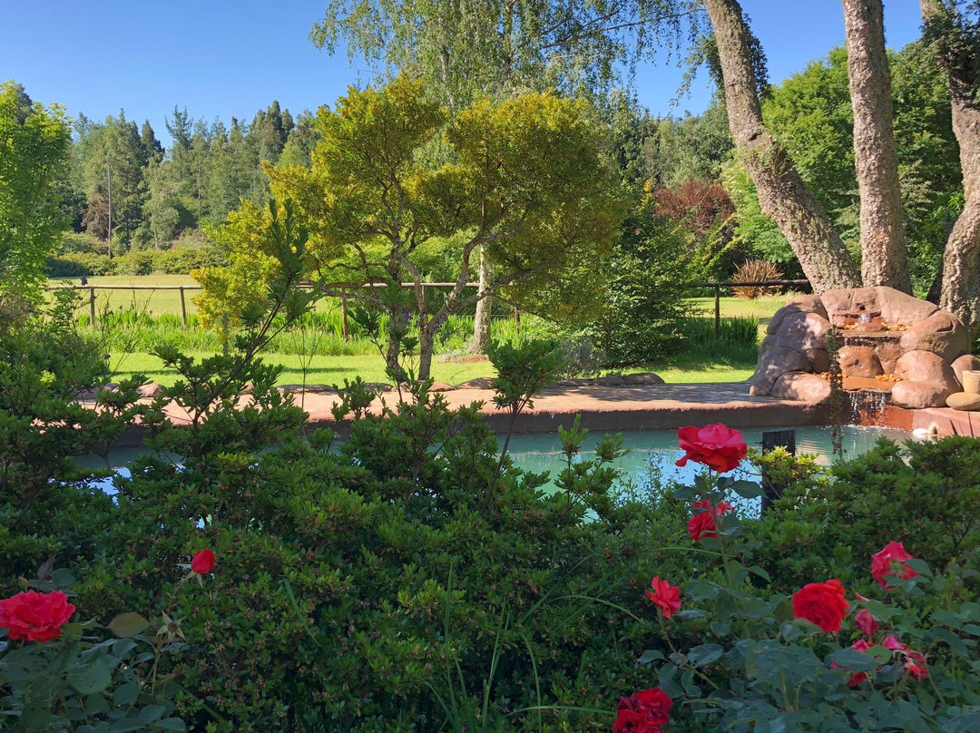 Granny Mouse House主图