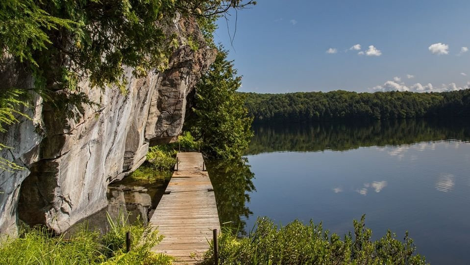 Limberlost Forest & Wildlife Reserve-亨茨维尔必去景点