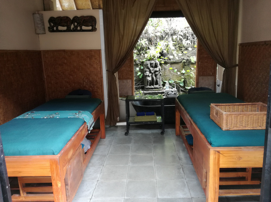 Ubud Wellness Spa景点图片