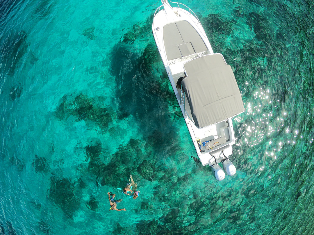 Day Trips BVI-托土拉必去景点