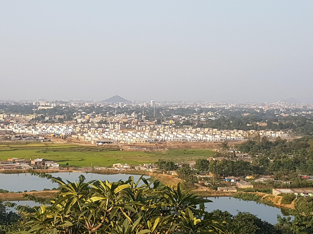 Jagannath Mandir景点图片