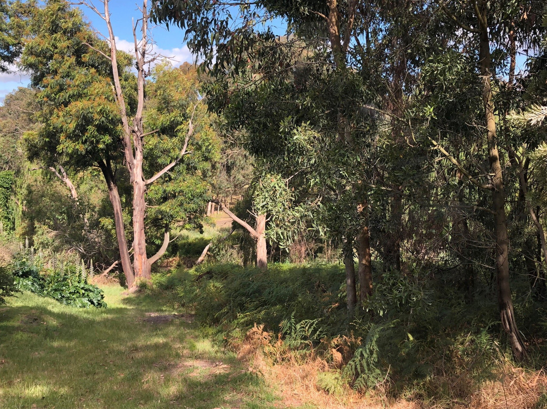 Hopetoun Norfolk Flora & Fauna Reserve景点图片