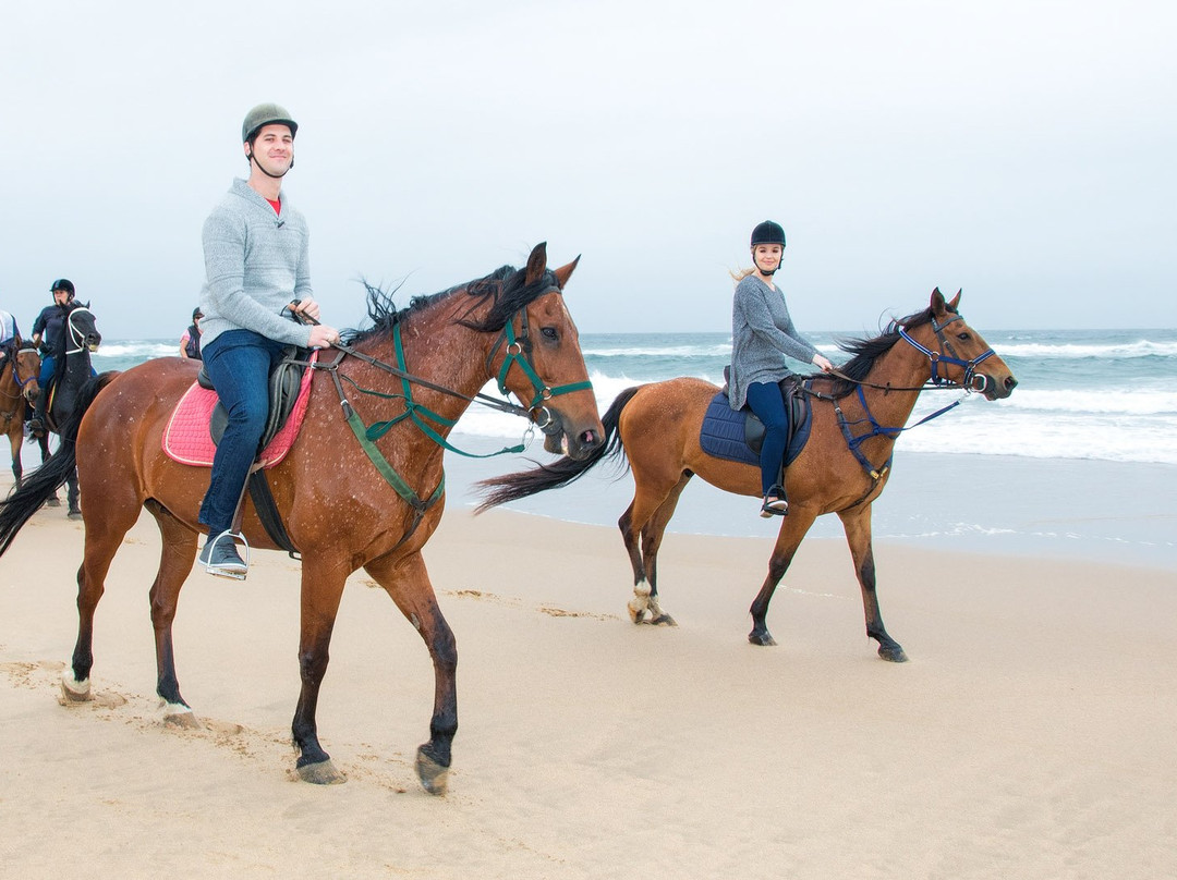 Gary's Horses景点图片