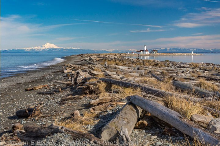 New Dungeness Lighthouse景点图片