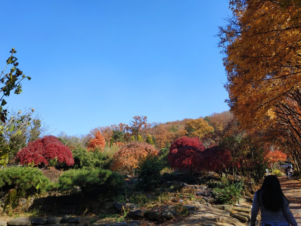 Hantaek Botanical Garden-龙仁市必去景点