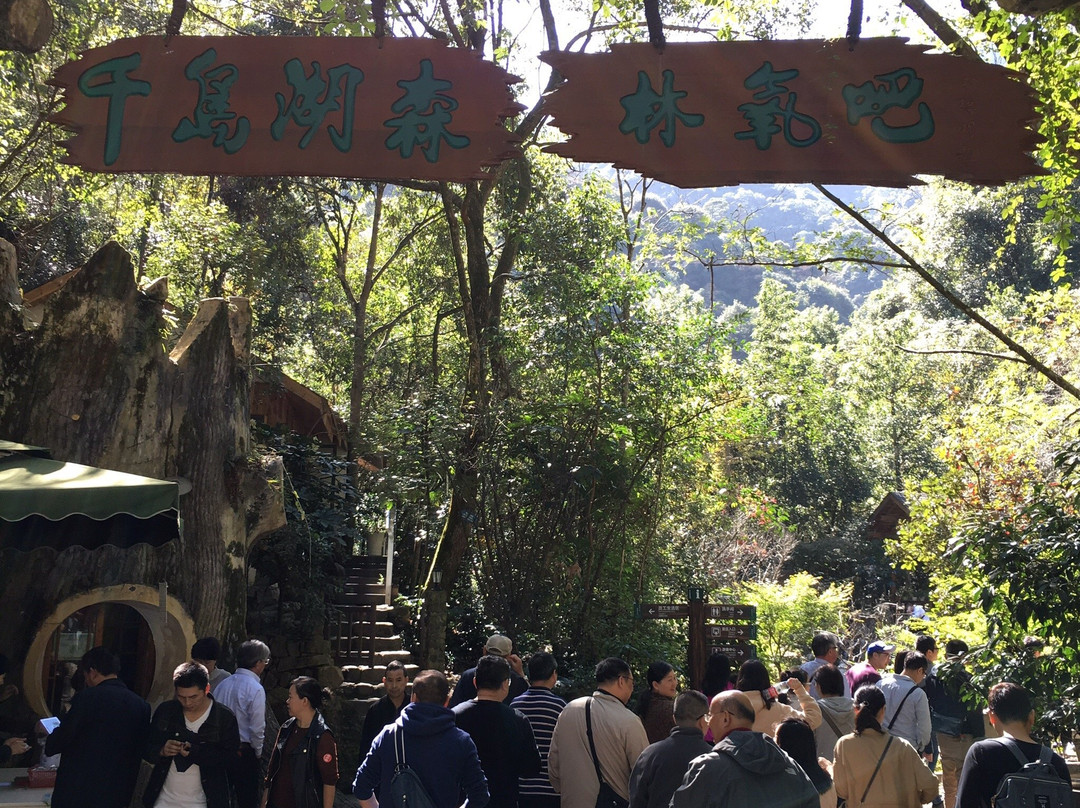 千岛湖森林氧吧-淳安县必去景点