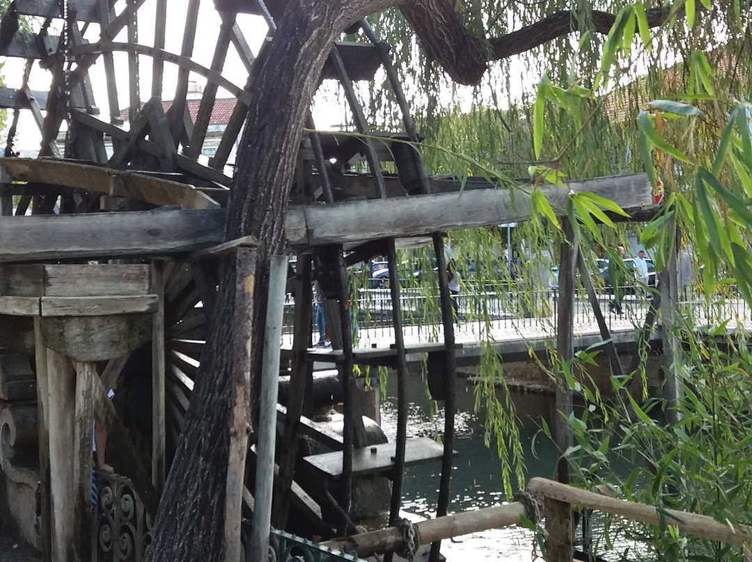 Roda do parque do Mouchao-Tomar必去景点