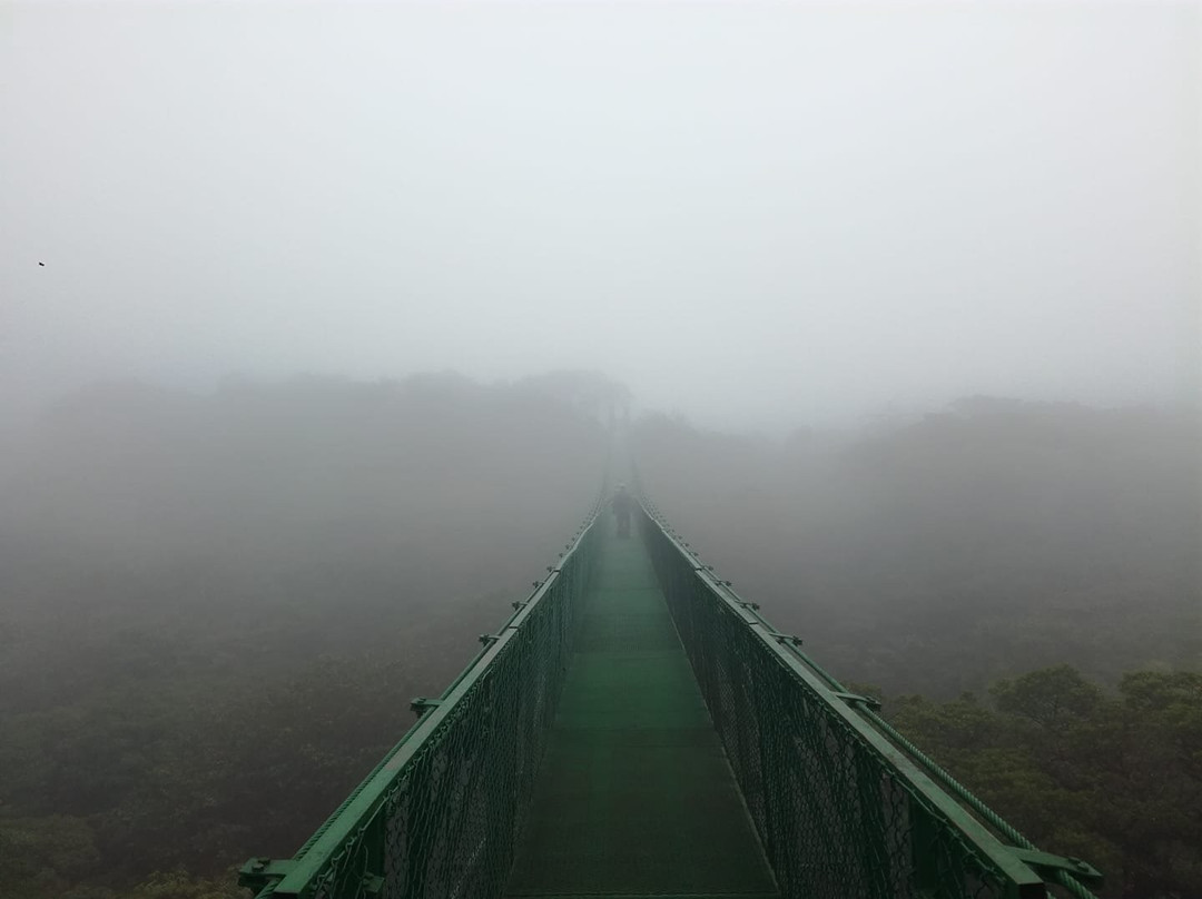 Guanacaste Nature Tours-利比里亚必去景点