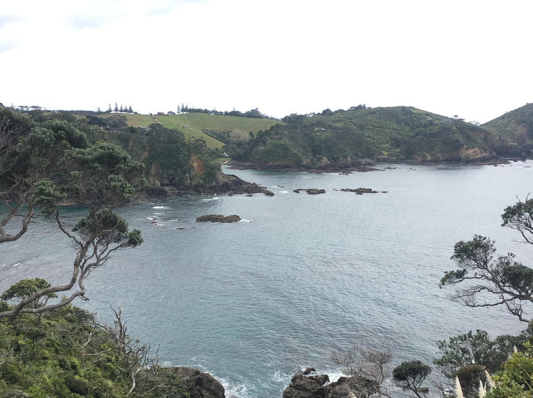 The Light House Lookout主图