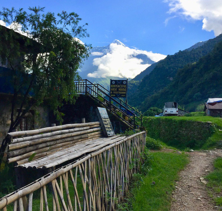 New Peaceful Guest House主图