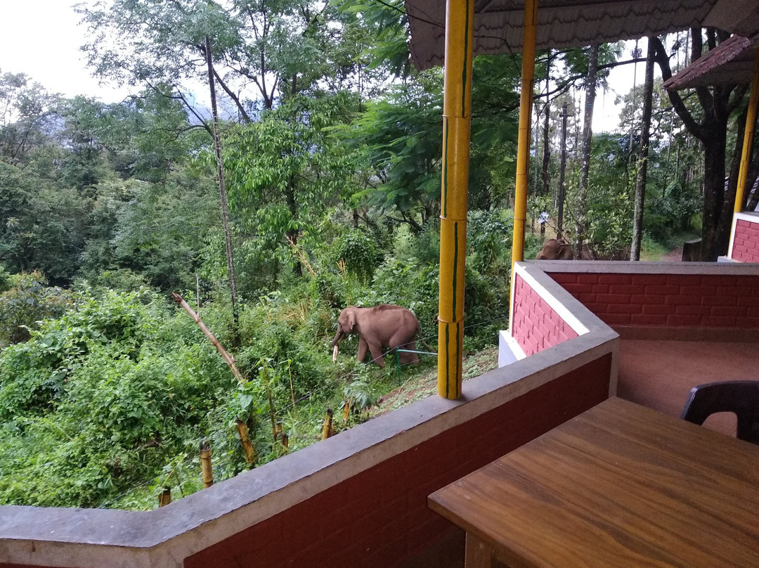 Coffea Aroma Resort - Wayanad主图