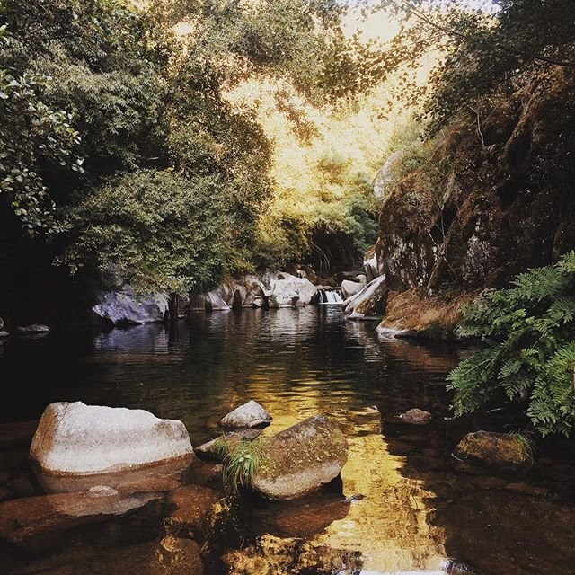 Calcada de Cinco Rodas景点图片