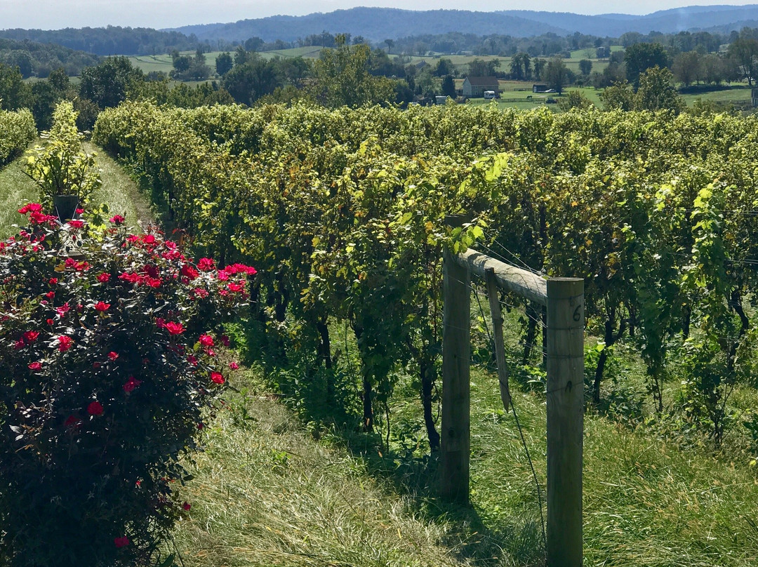 Delaplane Cellars-Delaplane必去景点