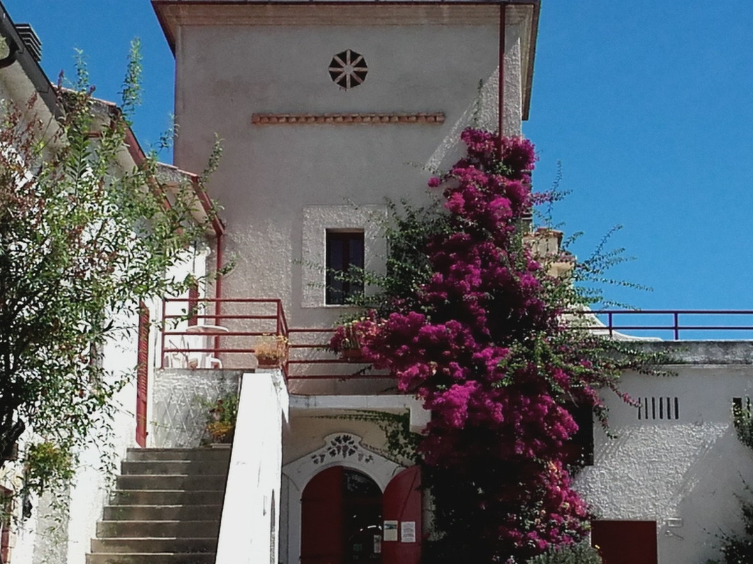 Pier Delle Vigne B&b