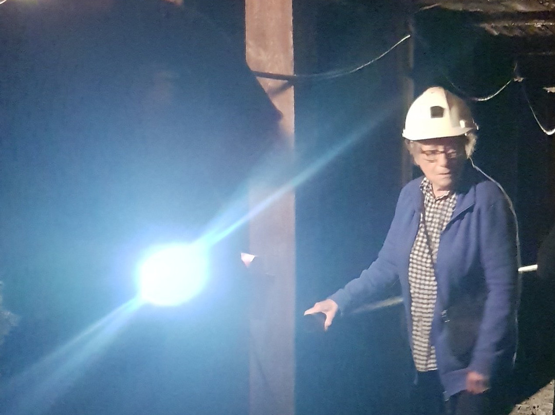 Springhill Miners' Museum-Springhill必去景点