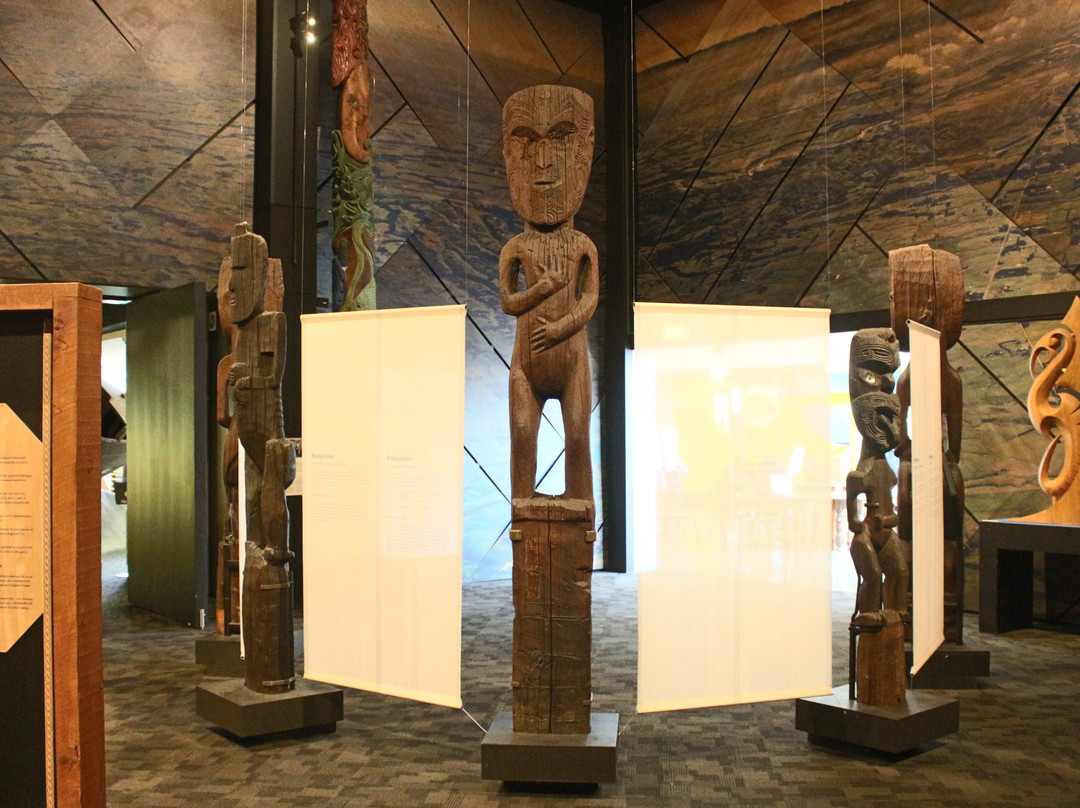 Te Manawa Museum of Art, Science & Heritage景点图片