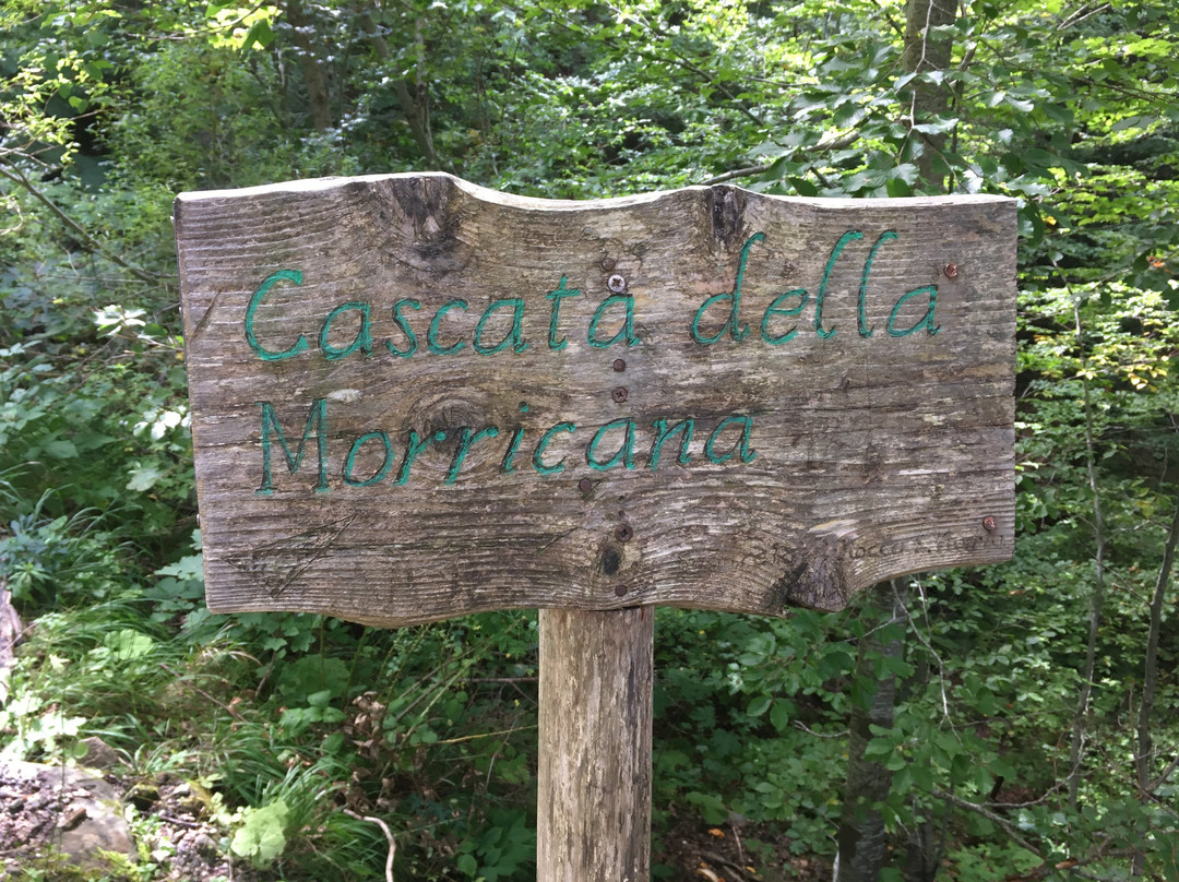 Bosco della Martese-Valle Castellana必去景点
