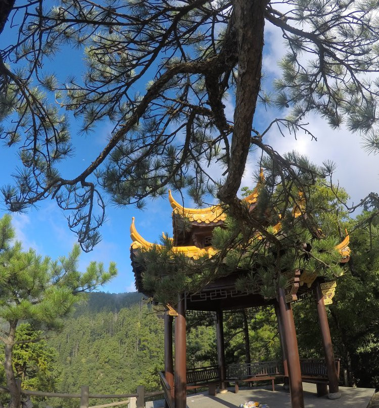 西天目山景点图片