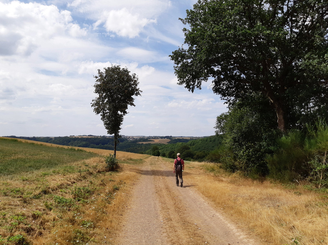 Erlebnisweg Achterhohe-Lutzerath必去景点