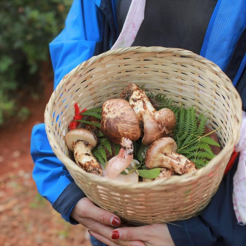 沙溪. 既下山SUNYATA酒店 主图