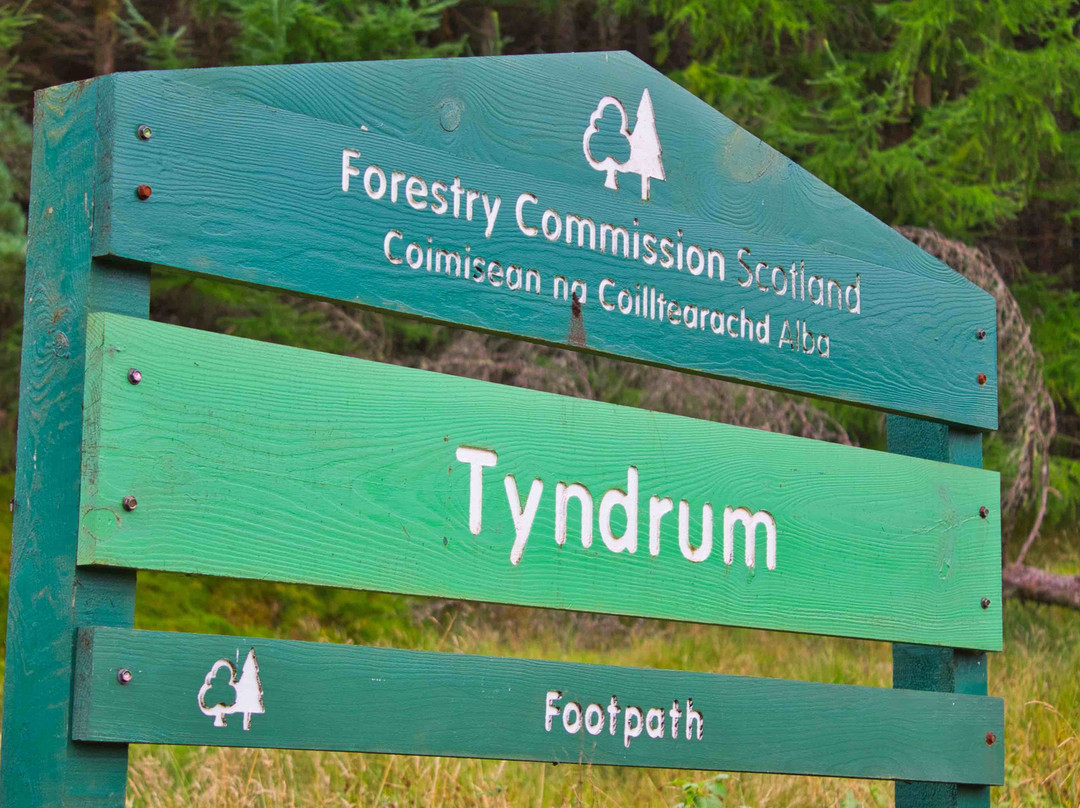 Tyndrum Community Woodland景点图片