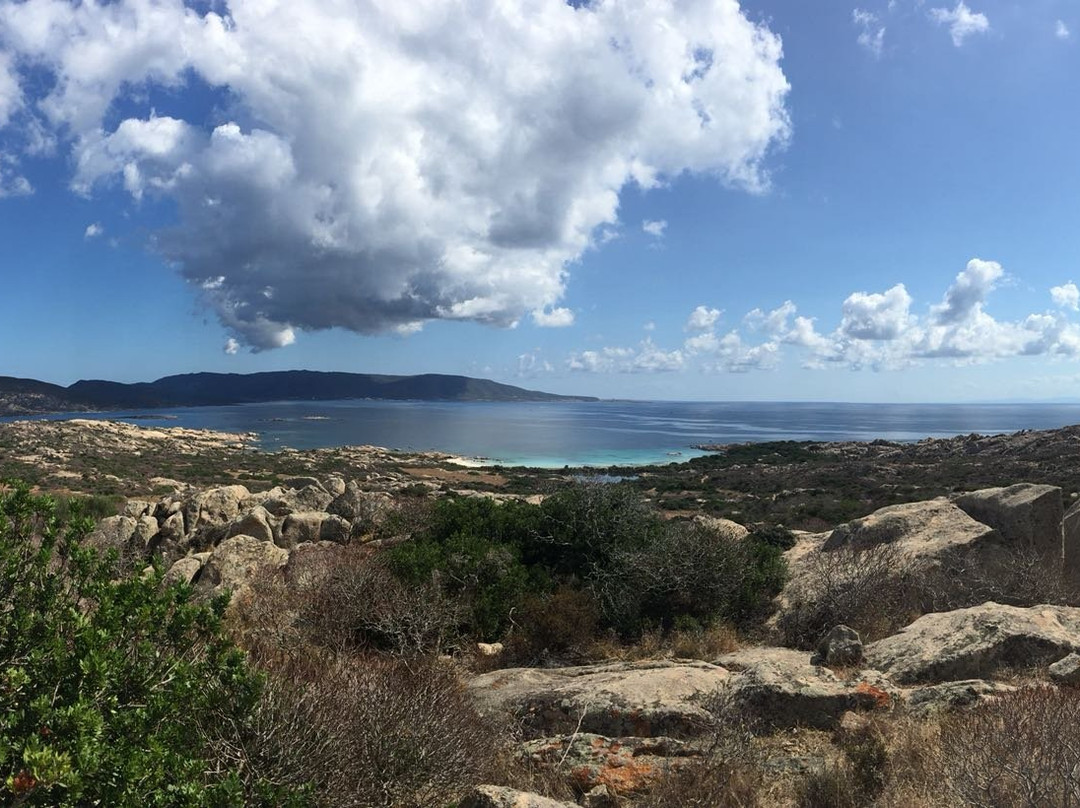 Parco nazionale dell`Asinara-Asinara必去景点