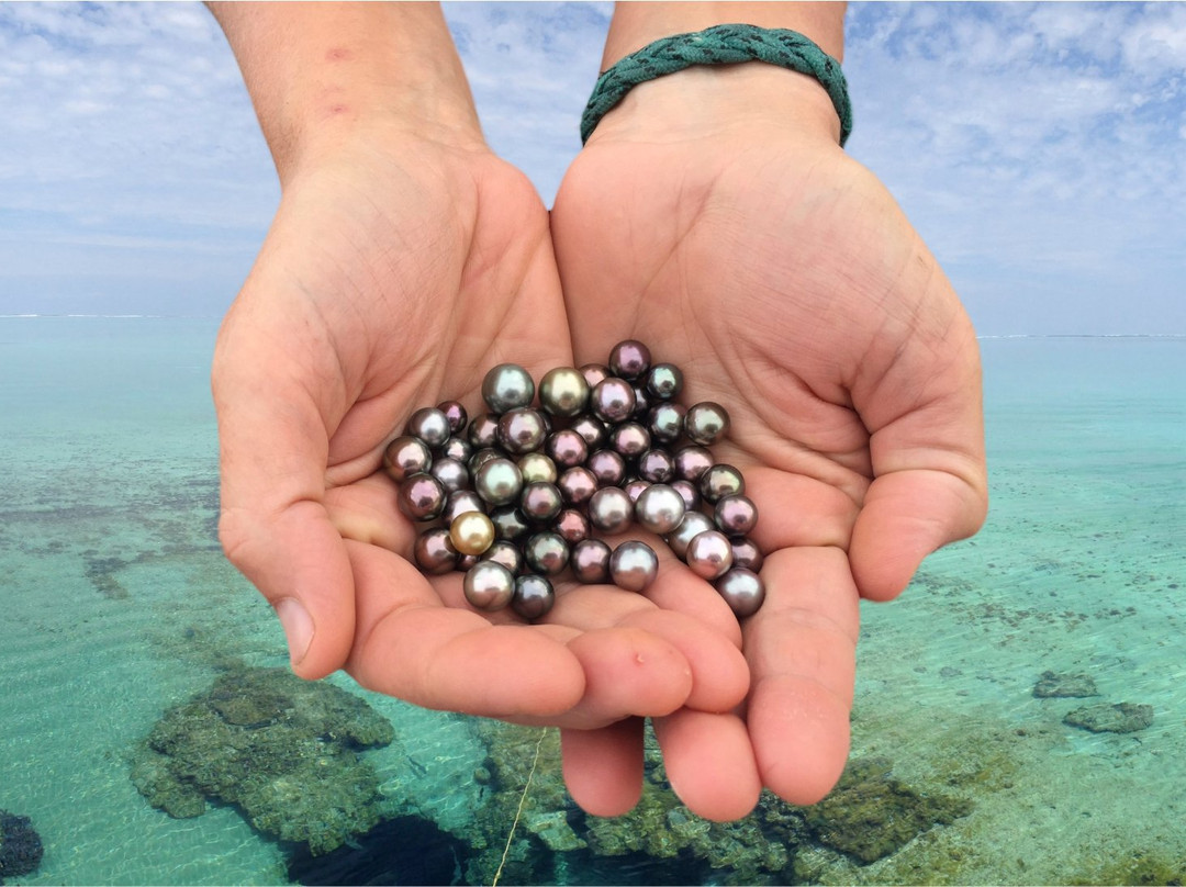 Latitude Jewellers-杰拉尔顿必去景点