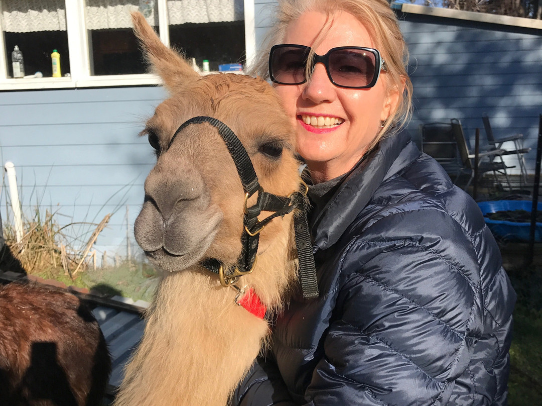 Llama Farma-Elizabeth Town必去景点