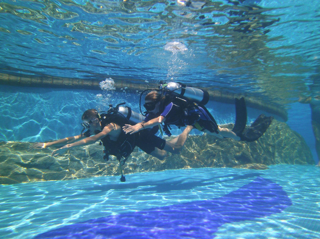 Sunshine Diving-Trincomalee必去景点