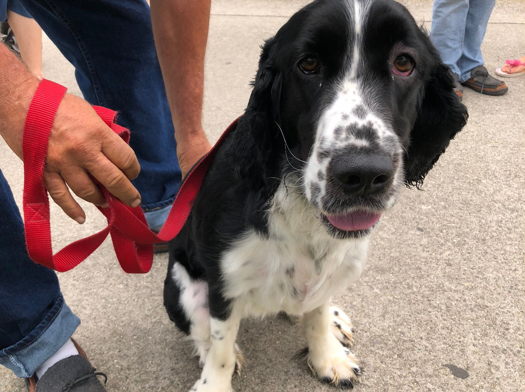 Blue Water River Walk-休伦港必去景点