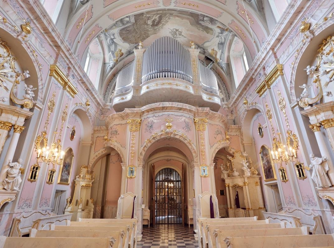 Kościół Św. Marii Magdaleny景点图片