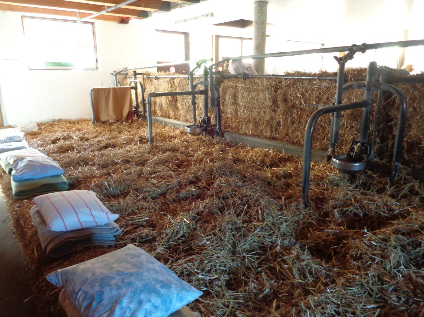 Erlebnishof Ming-浴室