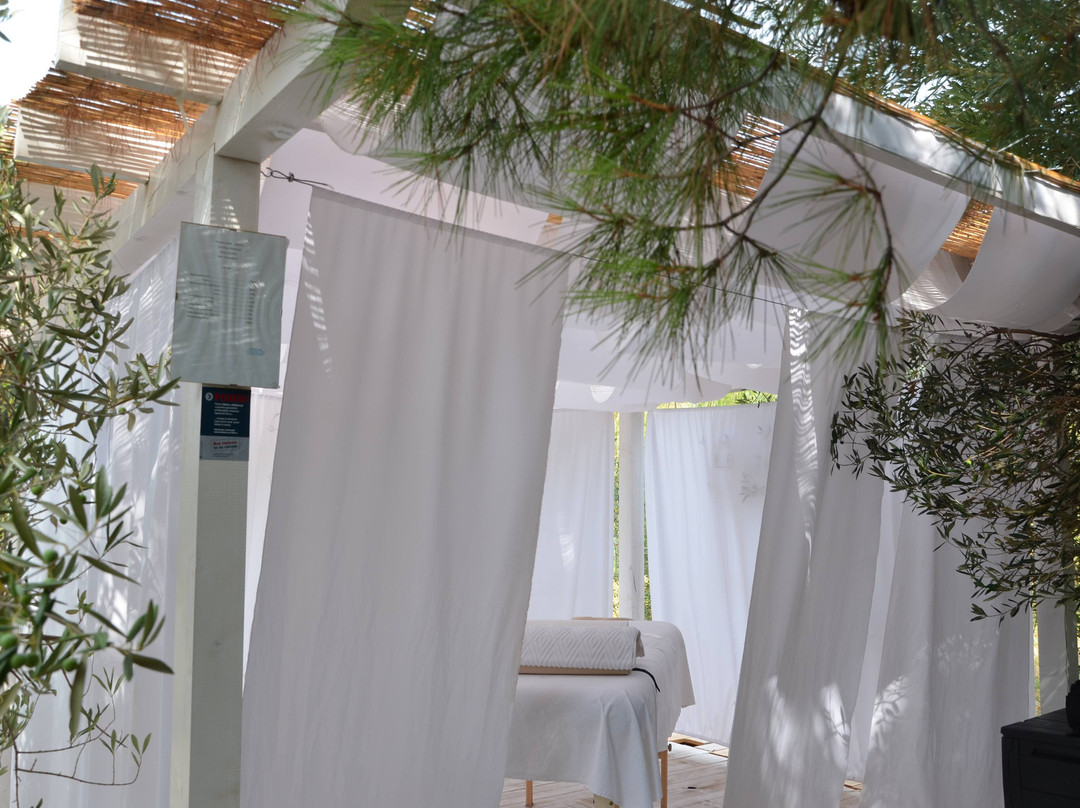 Massage Centre Ventus景点图片