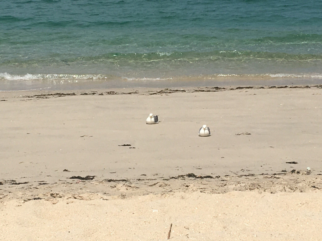 Playa Areacova景点图片