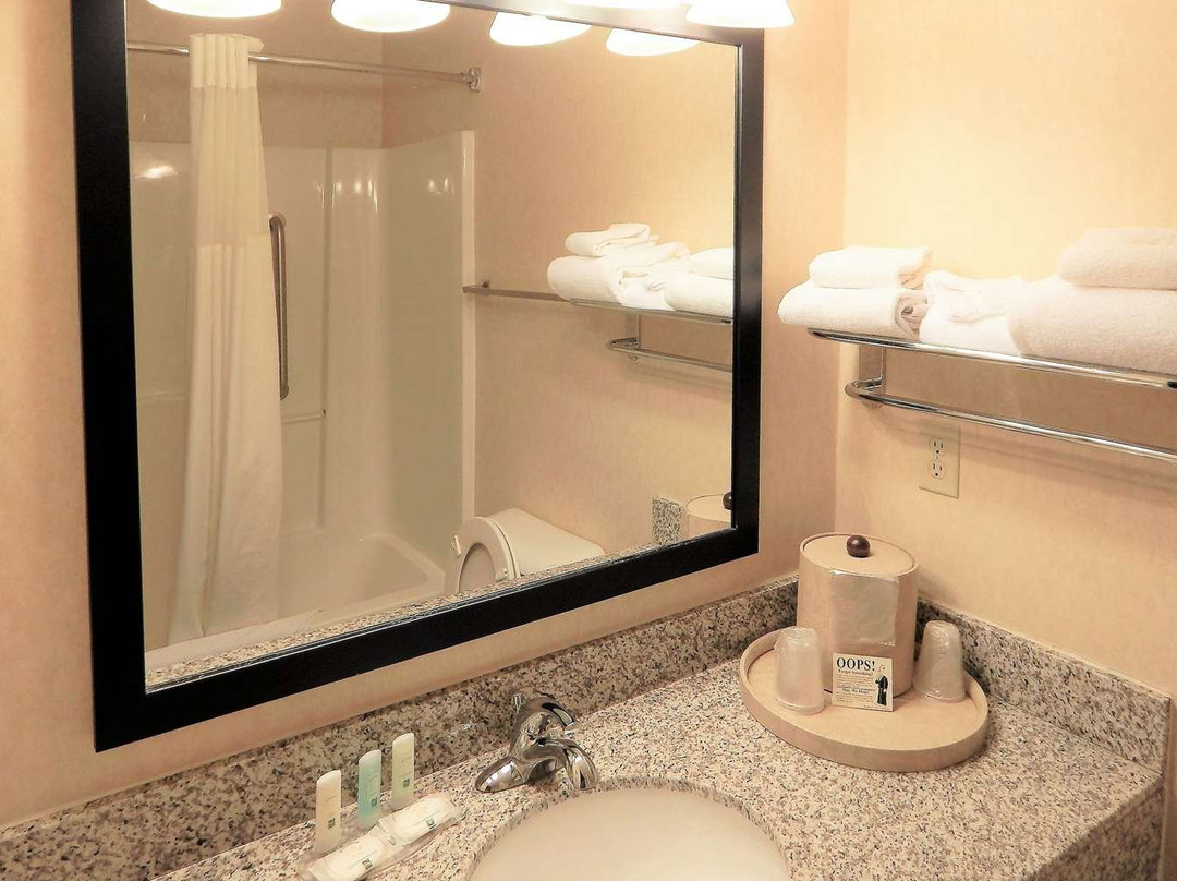 Spark by Hilton Sheridan主图