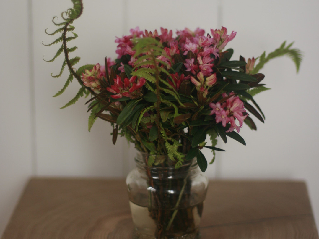 Hotel Baren Guttannen主图