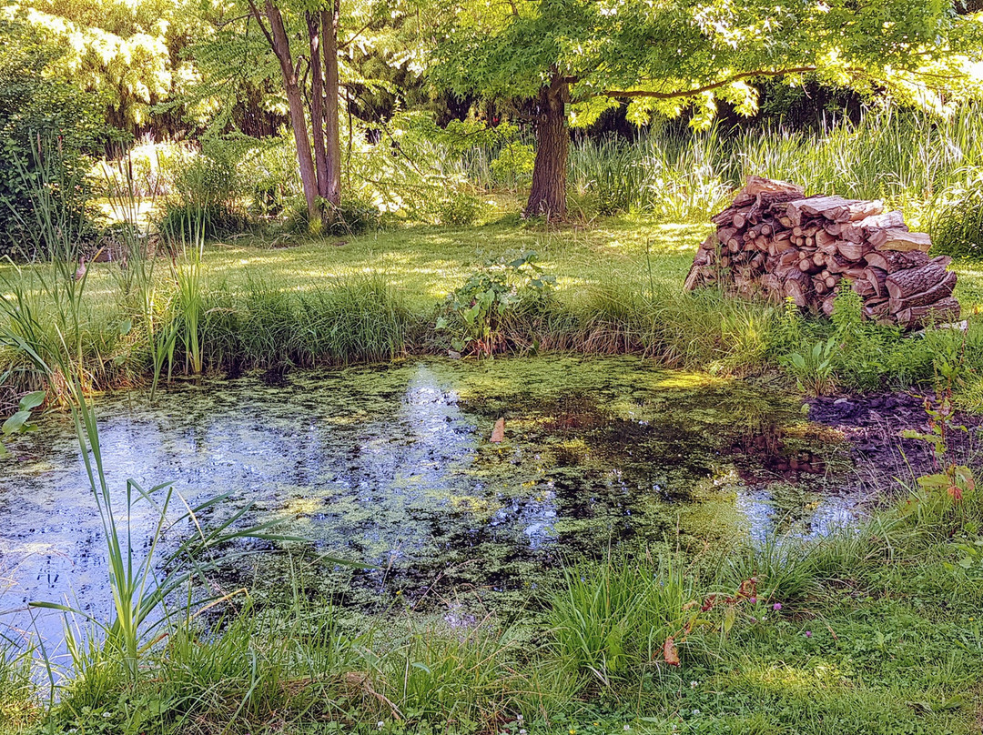 Arboretum Du Bois De Vincennes景点图片