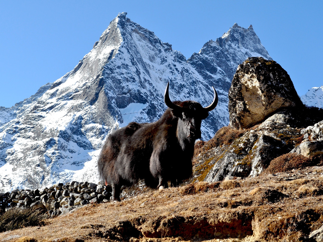 Real Himalaya-加德满都必去景点