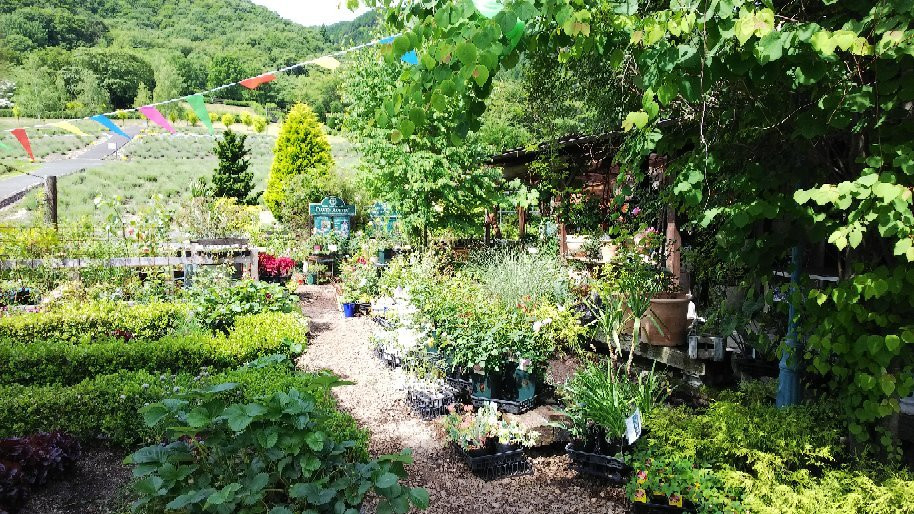 Hiruzen Herb Garden Herbill景点图片