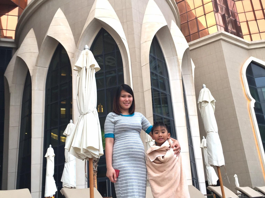 巴布皇宫酒店主图