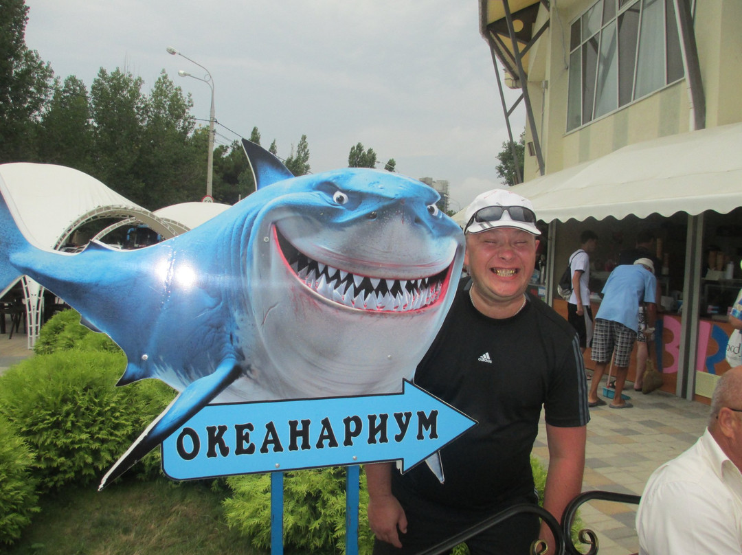 Anapa Dolphinarium (Nemo)景点图片