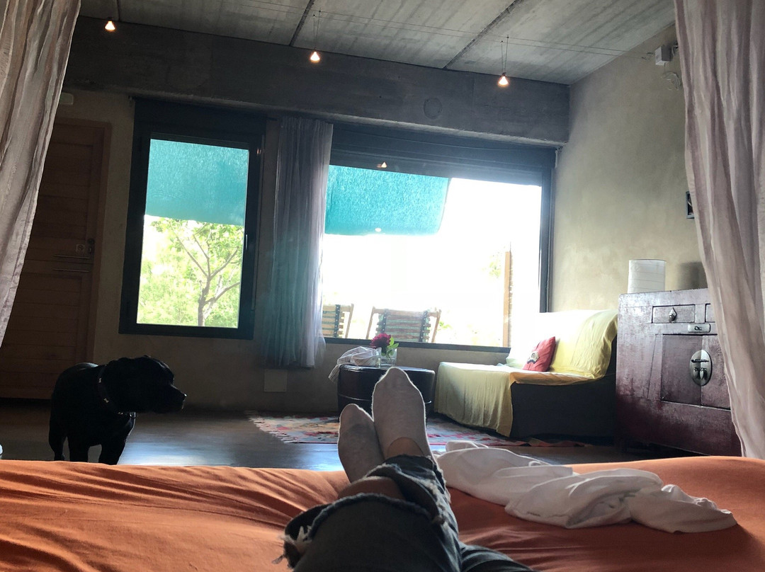 Hotel La Canela主图